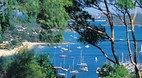 Mosman