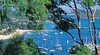 Mosman