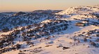Mount Blue Cow