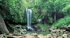 Mount Tamborine