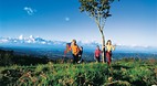 Mount Tamborine