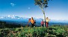 Mount Tamborine