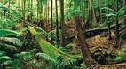 Mount Warning