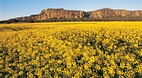 Mount Arapiles-Tooan..