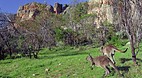 Mount Arapiles-Tooan..