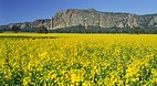 Mount Arapiles-Tooan..