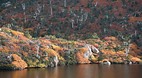 Mt Field National Pa..