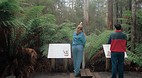 Mt Field National Pa..