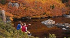 Mt Field National Pa..