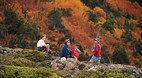 Mt Field National Pa..