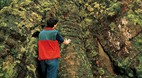 Mt Field National Pa..