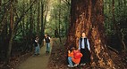 Mt Field National Pa..