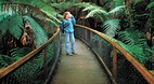 Mt Field National Pa..