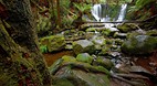 Mt Field National Pa..