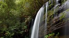 Mt Field National Pa..