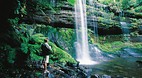 Mt Field National Pa..