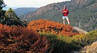 Mt Field National Pa..