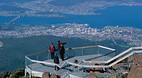 Mt Wellington
