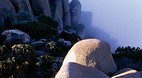 Mt Wellington