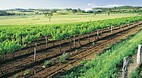 Mudgee