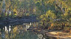 Murray River