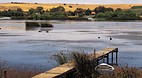 Murray River