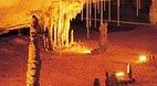 Naracoorte Caves Nat..
