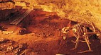 Naracoorte Caves Nat..