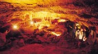 Naracoorte Caves Nat..