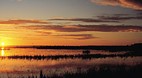 Naracoorte