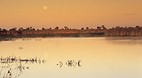 Naracoorte