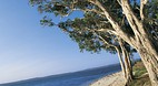 Nelson Bay