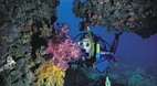 Ningaloo Reef