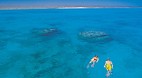 Ningaloo Reef