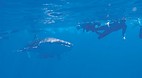 Ningaloo Reef