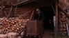 Ophir Gold Mining