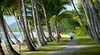 Palm Cove