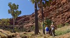 Palm Valley