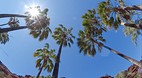 Palm Valley