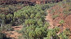 Palm Valley