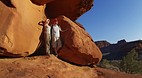 Palm Valley