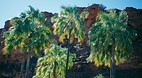 Palm Valley