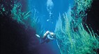 Piccaninnie Ponds