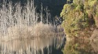 Cradle Coast