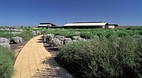 Port Augusta