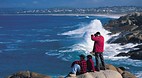 Port Elliot/Horsesho..