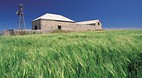 Port Vincent