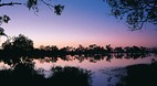 Quilpie