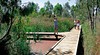 Riverland