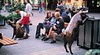 Rundle Street Mall